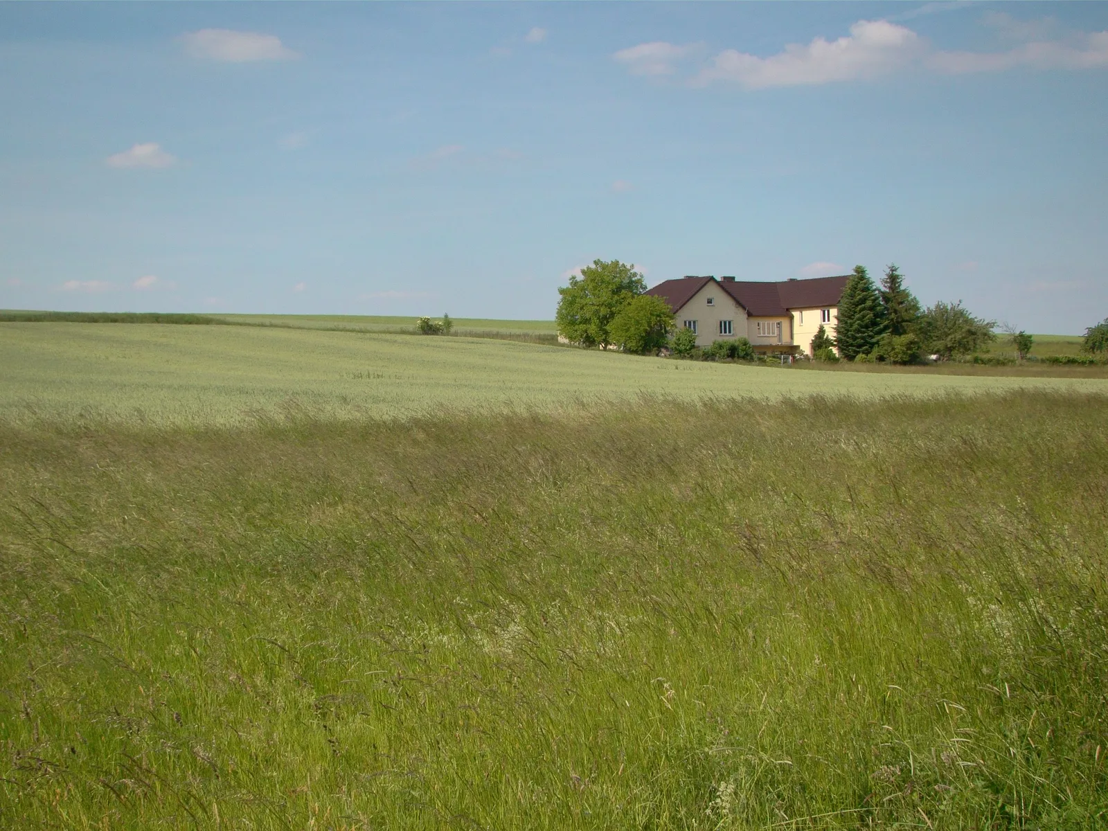 Rural residential home representative of Tecumseh, KS